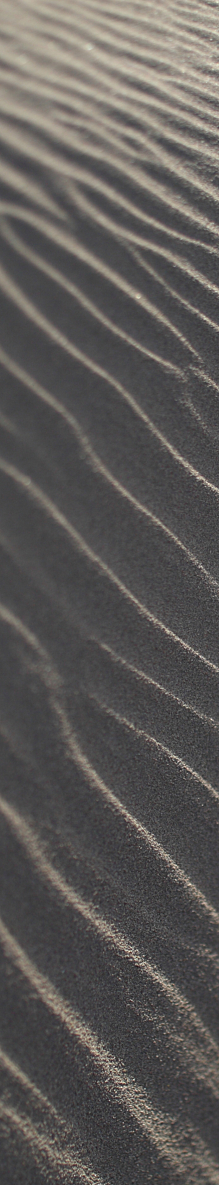 Shutterstock 227636974 strand