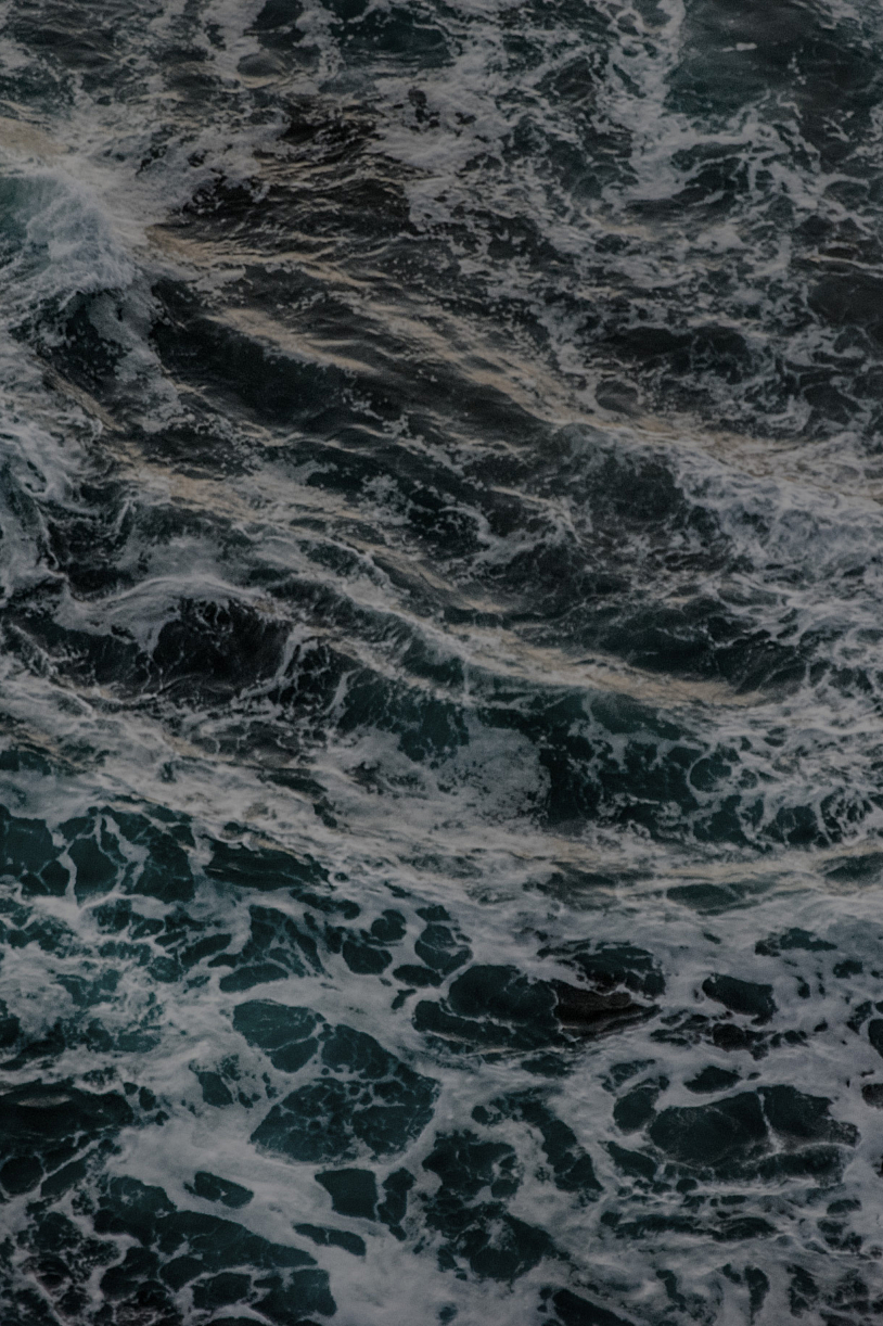 Shutterstock 1182913981 zee