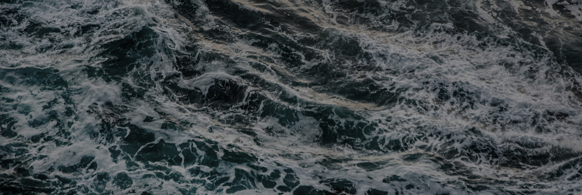 Shutterstock 1182913981 zee